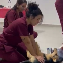  ALUNA LAURA MACHADO - participante da turma 1 de 2025