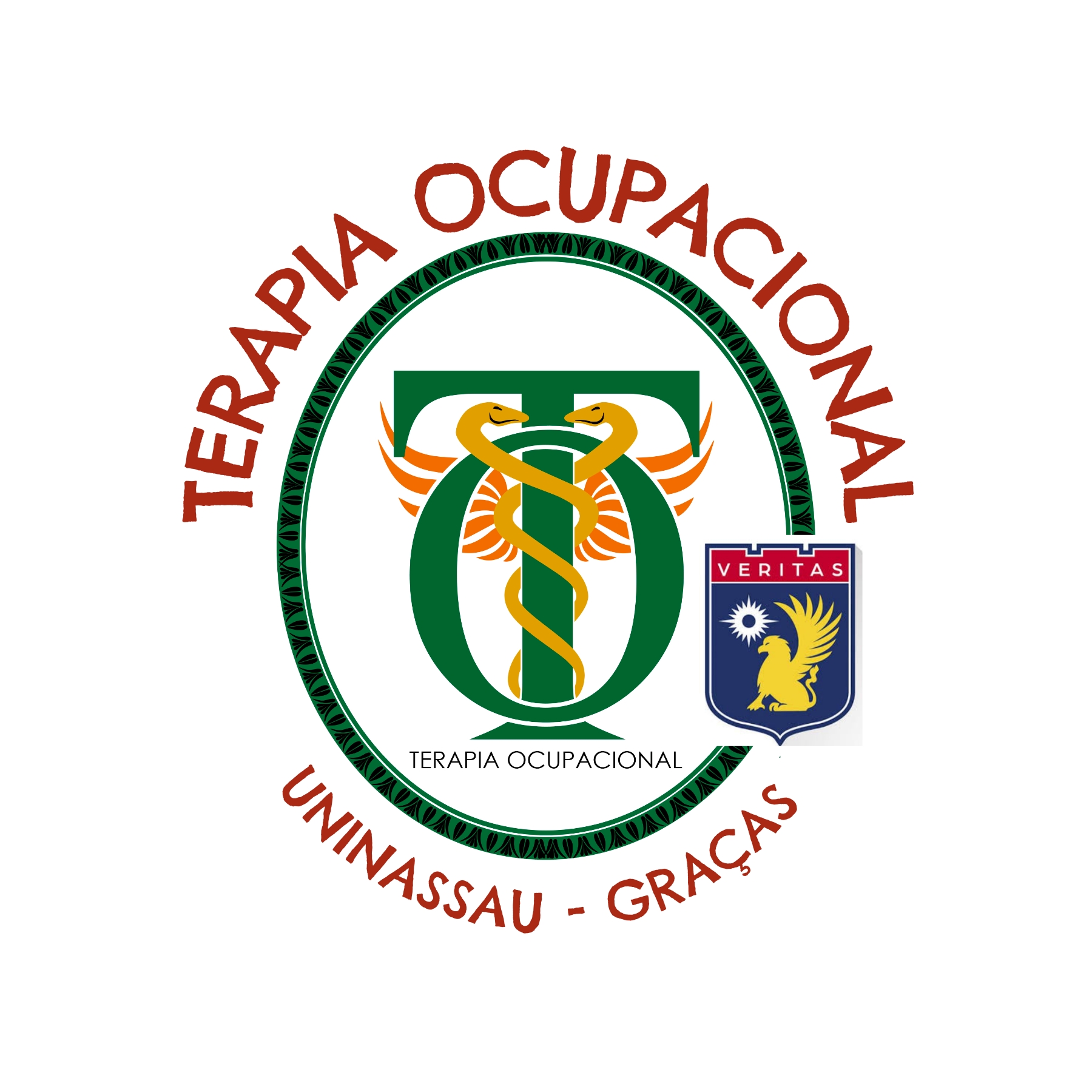 Terapia Ocupacional Uninassau Graças